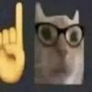 chat-lunettes-intello-this-ceci-doigt-emoji