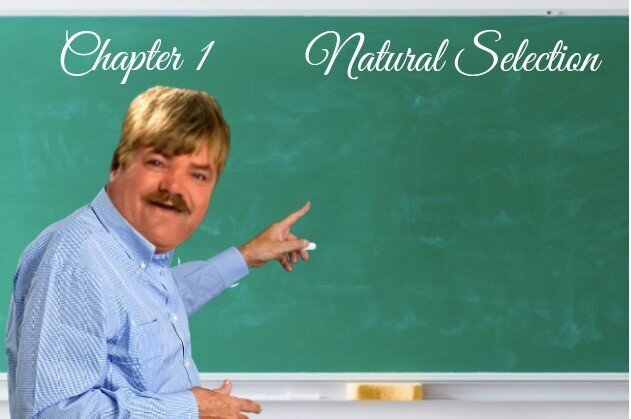 chapter one natural selection english naturelle anglais