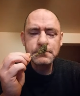 nonoretro weed nonofarmer