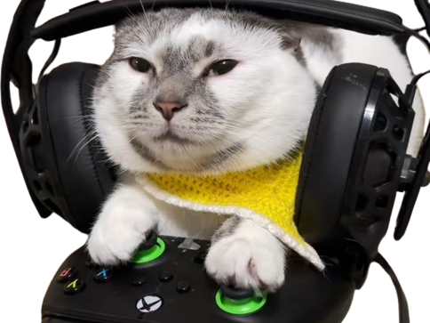 chat gamer