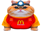 chat-roux-obese-macdonald-burger-gros-lampe-frontale-rouge-jaune-happy-meal-ronald
