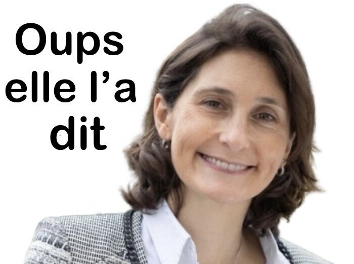 amelie oudea castera caste ministre education oups dit