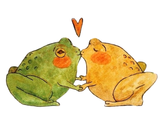 frogs grenouilles grenouille frog kiss bisou amour cute