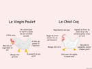 virgin-chad-poulet-coq
