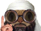 chat-lunettes-ben-laden-imam-musulman-predicateur-savant-islam-religion-arabe-secte-terroriste-barbu