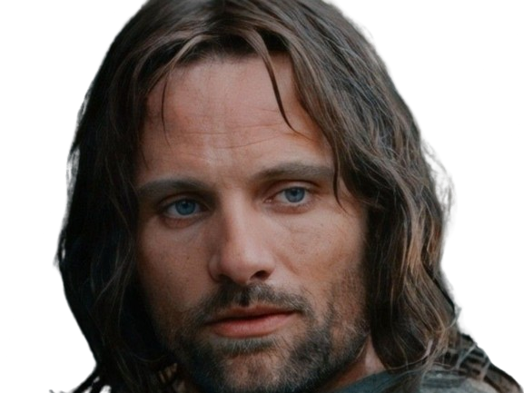 aragorn lotr lsda lordsoftherings leseigneurdesanneaux vicomte harold lygnia pere veuf endeuille cimerlechoix4