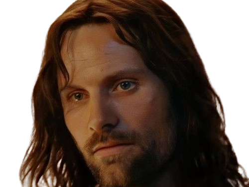 aragorn lotr lsda lordsoftherings leseigneurdesanneaux vicomte harold lygnia pere veuf endeuille cimerlechoix4