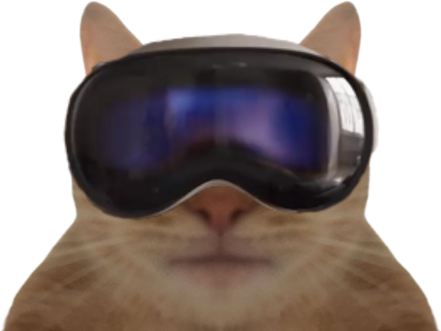 chat miroir troll apple vision pro vr casque realite virtuelle