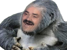 singix risitas singe gorille gorilla blinde rire gros
