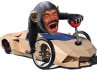 singe-risitas-macaque-babouin-lambo-singerie-risisinge-chimpanze-pump-voiture-dump-argent-carton-degen-shitcoin