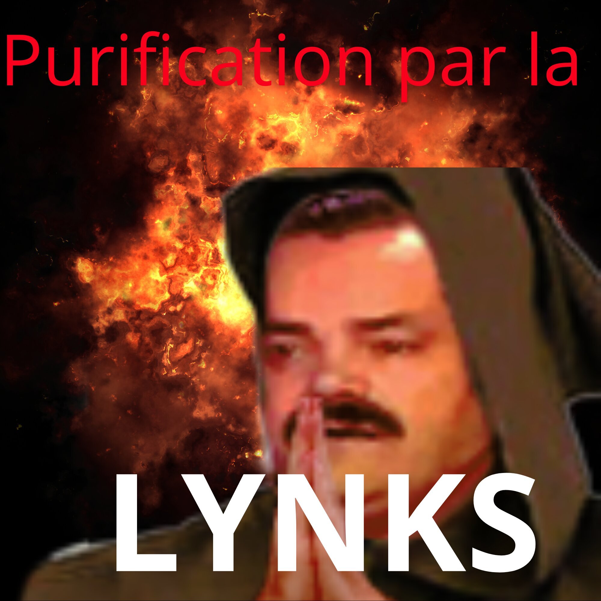 prions lynks feldup this house