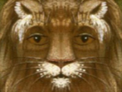 khey lion blase depressif miroir cernes puceau defonce