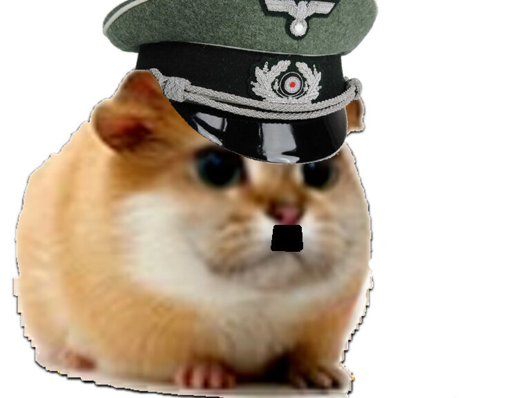 hamster cochon dinde inde cute chat minou adorable rongeur nazi hitler allemand allemagne moustache chamster