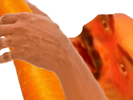 cash carotte branle branlette encule bordel fap masturbe masturbation