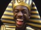 pharaon-pierre-noirs-black-afrique-wakanda-egypte-rire-mort-de-lol-laugh