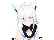 gif kj kikoojap hololive fubuki shirakami vtuber huh question confusion chat cat