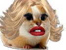 hamster-cochon-dinde-inde-cute-chat-adorable-rongeur-perruque-blonde-rouge-levres-sexy-pute-chamster