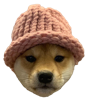 dogwifhat-wif-dog-hat-crypto-meme-memecoin