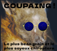 chiroptera-rongeur-soyeux-groin-leplussoyeux-notready-piggy-chris-leplusmignon-coupaing-chauve-souris-chauves-chauve-souris