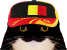 chat-mignon-bismarck-le-belge