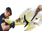 emmanuel-macron-boxe-vs-vladimir-poutine-judo-combat-mma-fight-octogone