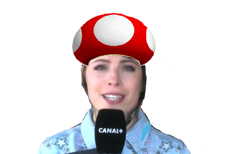 pauline sanzey toad zoom