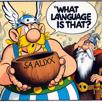 saliax-saaliax-hiiax-spiphue-asterix-obelix-gaulois-gaule-bd-meme-ia-covid-risitas-idiot-chance