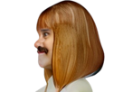 risitas-claire-dearing-jurassic-park-rousse-rouquine-perruque-moustache
