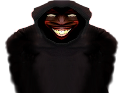 sentiment insecurite capuche racaille dealer chouf migrant immigration sourire grand remplacement agresseur assaillant nantes nanted