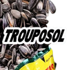 trouposol-mozinor-troupes-au-sol-tignasse-tournesol-graines