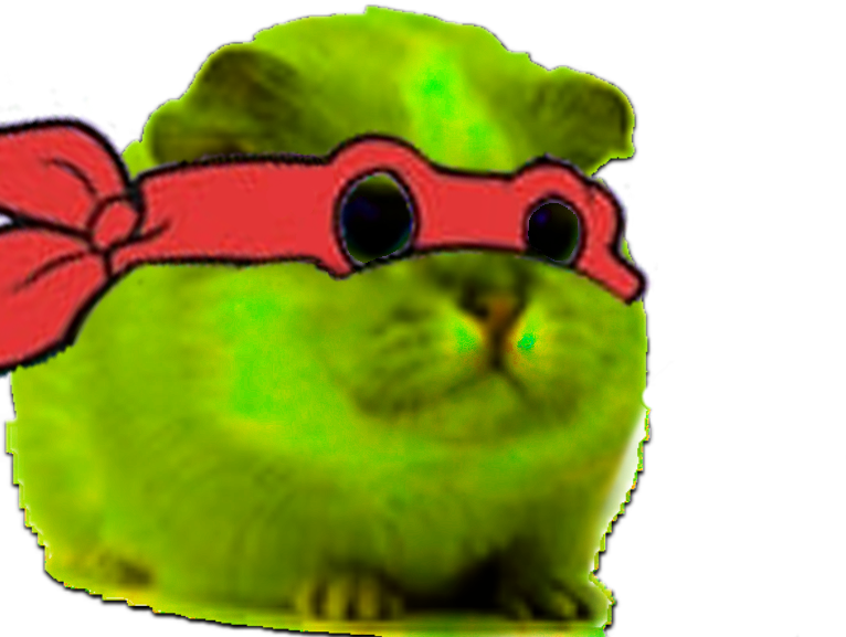 hamster cochon dinde inde cute chat chamster adorable rongeur tortue ninja teenage mutant turtles