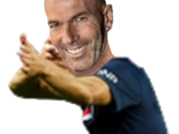 zinedine zidane zizou zz et non les shills paz ent philippot benzemonstre selection naturelle golem
