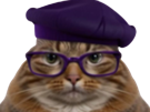 chat-beret-venere