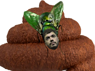 incarville mohamed amra mouche parasite merde chance racaille tueur fronsse fronce