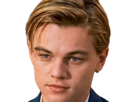 maxime-leonardo-dicaprio-jeune-lidl-dont-revelate-moupe