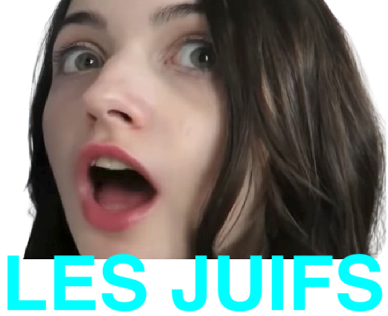 evalion youtube nazi juif youpin feuj juiverie jude juden 911 goy les juifs abasourdi choque