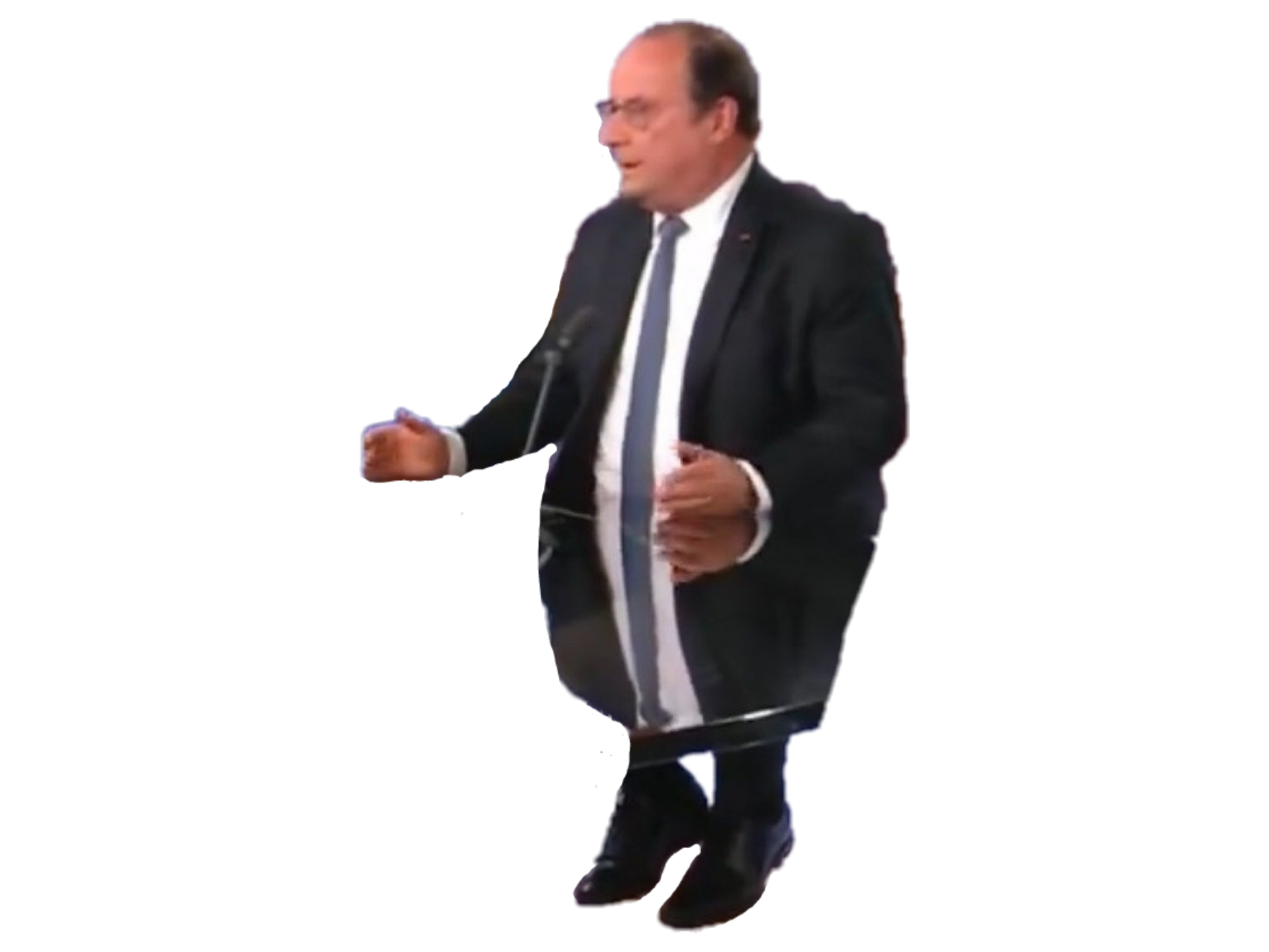 hollande petit castor