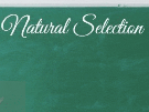 natural-selection-naturel-selecao-cours-prof-montre-doigt-lecon-chapitre-1-gif