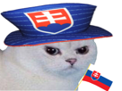 chat-blanc-slovaquie-slovaque-foot-football-cdm-euro-coupe-chapeau-drapeau-enerve-rage