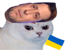 chat-blanc-ukrainien-ukraine-foot-football-cdm-euro-coupe-chapeau-drapeau-enerve-rage