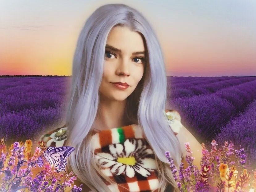 anya taylor joy provence provencale lavande lavanderie sud de la france francaise femme champ fleurs