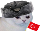 chat-blanc-turquie-turc-foot-football-cdm-euro-coupe-chapeau-drapeau-enerve-rage