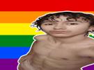 gay-lgbt-megagay-lgbtflag-gayflag-homosexuel