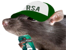 rat-rsa-bourse-biere-avare-rattata-rattatashiny