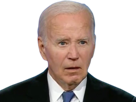 biden-bug-freeze