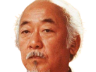 noriyuki-pat-morita-humoriste-americain-japonais-karate-kid-cobra-kai-sensei-miyagi-san