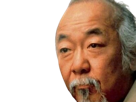 noriyuki-pat-morita-humoriste-americain-japonais-karate-kid-cobra-kai-sensei-miyagi-san