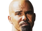 shemar-moore-acteur-americain-series-us-esprits-criminels-swat-abdos-betons