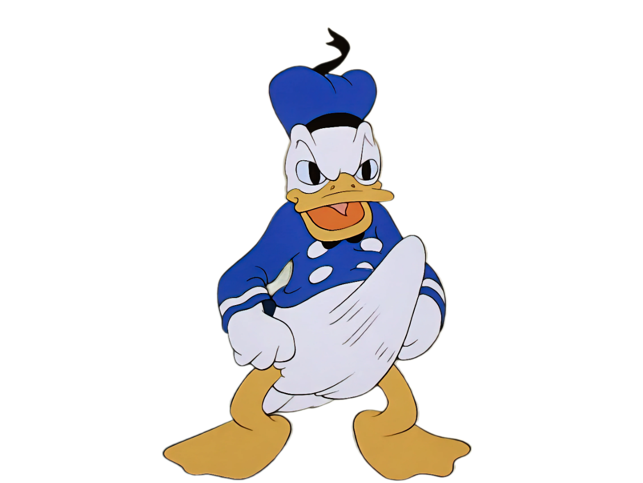 donald boner erection