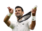 novak-djokovic-nole-vs-lorenzo-musetti-violon-sel-demi-finale-wimbledon-2024